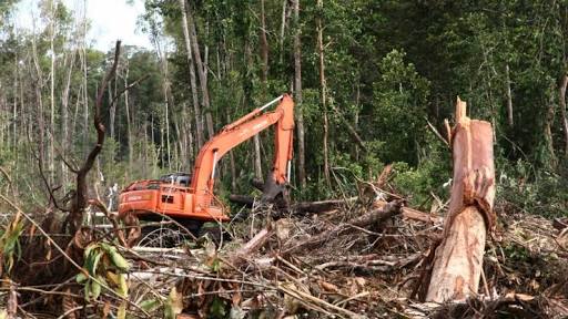 Tebar Nestapa, PT. Diamond Raya Timber diduga "Renggut"  Hak Hidup Warga